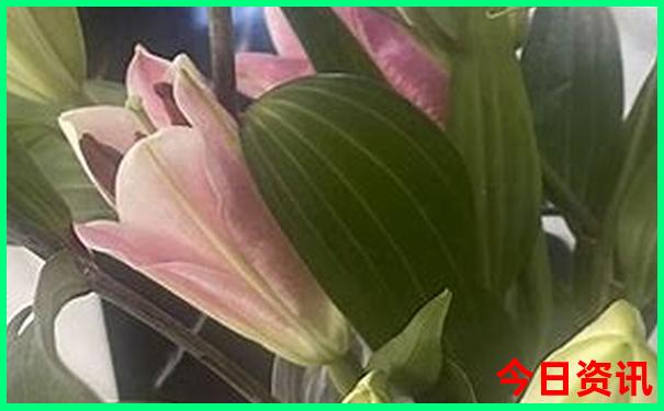 泸沽湖旅游最佳季节